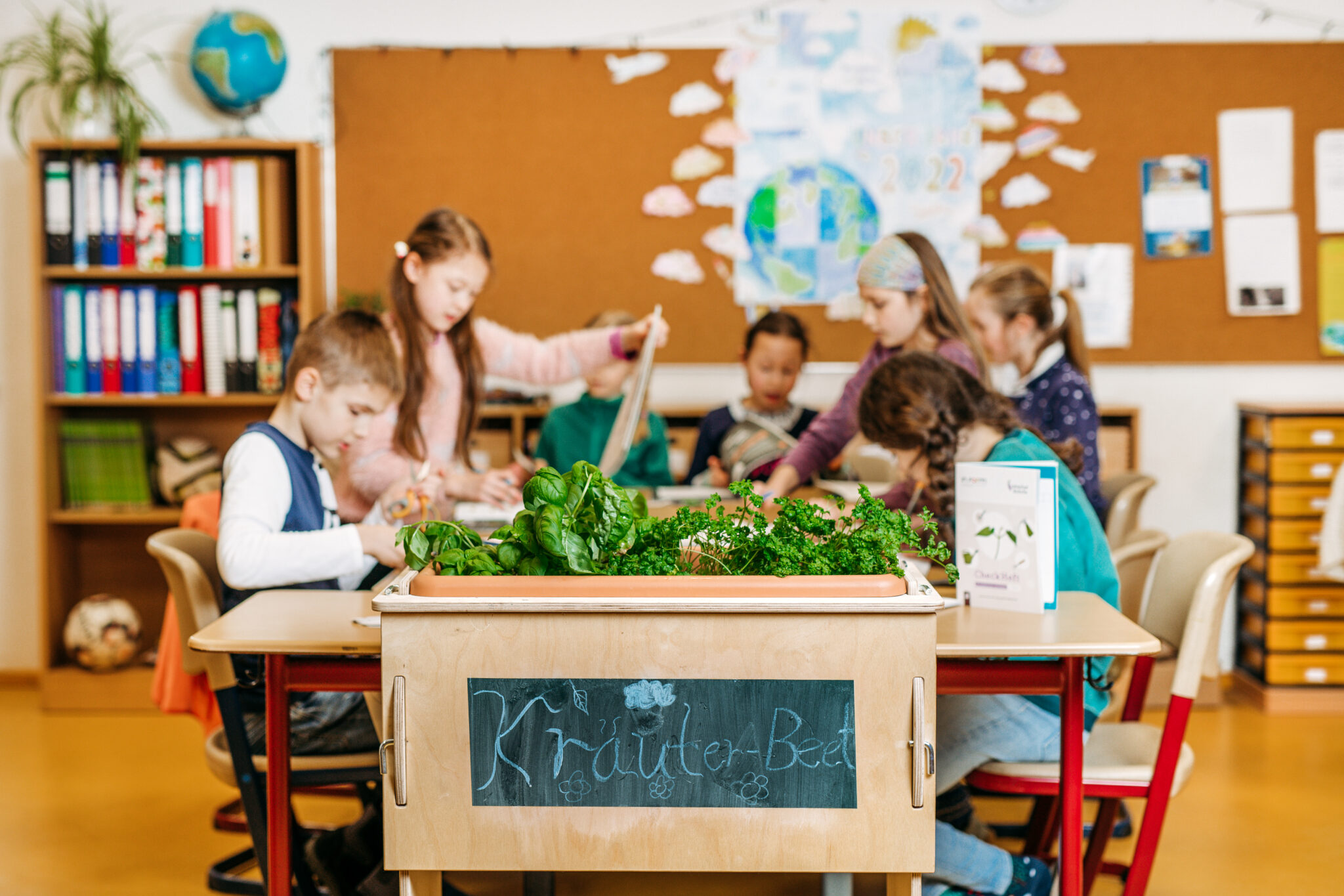Unsere Schule - Adolf-Kolping-Schule